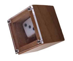 Dadi Magici Semplici e Gioiosi per Principianti, Scatola Piccola | Legno Kaki, Leggeri e Sicuri, per Feste e Incontri di Gruppo, Accessorio da Gioco