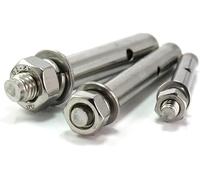 dadi per ferramenta, Ancoraggio con bullone passante a vite ad espansione in acciaio inossidabile M6 M8 M10 304(M10X100)