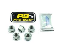 Dadi pignone PRO BOLT Argento 24011510