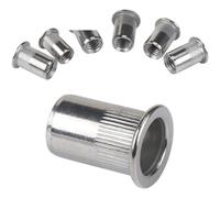 Dadi rivetti in acciaio inossidabile M4 M5 M6 M8 M10 304(M10 X 10pcs)