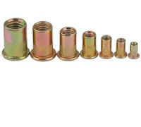 Dadi rivetti metallici, dadi inseribili, Assortimento di dadi for rivetti a testa piatta zigrinati in acciaio al carbonio zincato M3-M12(M6 x 50pcs)