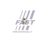 Dado, bilanciere FT94648 FAST per IVECO DAILY IV Autobus DAILY III Furgone