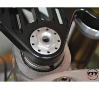 DADO BLOCCAGGIO PIASTRA STERZO MELOTTI PER APRILIA RS 125