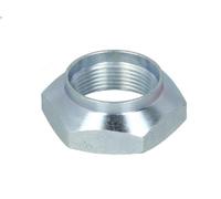 Dado dell'asse, albero di trasmissione BTA 470C0165BTA per BOXER Autobus 2 1994-