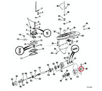 Dado Elica Evinrude Johnson BRP - 1 PZ - 5030288