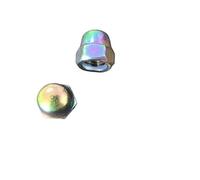Dado esagonale a testa metrica con dado cieco colorato arcobaleno, da 2 a 10 pezzi M3 M4 M5 M6 M8 in acciaio inossidabile(Rainbow colour,M5 5pcs)