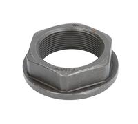 FEBI BILSTEIN Dado dell'asse 44915 per DAF LF 55 2001-2006