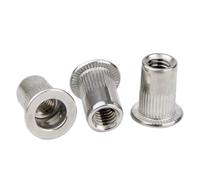 Dado filettato a testa piatta Rivnut in acciaio inossidabile 304 M3 M4 M5 M6 M8 M10 M12 Rivetti a strisce verticali Inserto Nutsert Cap Rivet Nuts(M8-50Pcs)