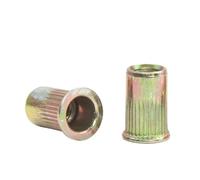 Dado for rivetti ciechi a testa piatta piccola Acciaio al carbonio Acciaio inossidabile 304 M3 M4 M5 M6 M8 M10 M12 Dado con inserto filettato Rivnut(Yellow zinc,M6 100pcs)