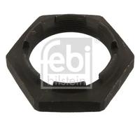 Dado fusello 43608 FEBI BILSTEIN per VOLVO RENAULT TRUCKS