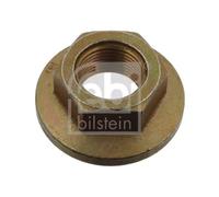 Dado fusello Assale posteriore Sx con filetto destrorso 03811 FEBI BILSTEIN