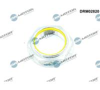 Dado fusello Assale posteriore Sx DRM02820 Dr.Motor Automotive per FORD
