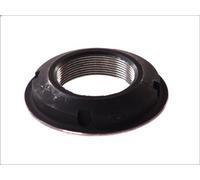 Dado, ingranaggio conico C.E.I 187.486 per SCANIA T 11.705 2004-2005