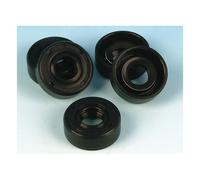 Dado mozzo frizione con paraolio 65-e84 big twin oem 12014 James gaskets