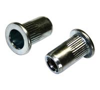 Dado per rivetto cieco in acciaio