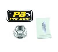 Dado perno ruota forcellone in PRO BOLT Acciaio Inox LSSNUT22150001Z2