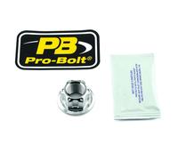 Dado perno ruota forcellone in PRO BOLT Naturale LSSNUT16150001Z3