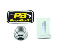 Dado perno ruota forcellone in PRO BOLT Naturale LSSNUT24150002Z2