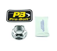 Dado perno ruota forcellone in PRO BOLT Naturale LSSNUT25150003Z2