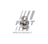 Dado ruota Assale posteriore Flangia conica F FT21601 FAST per FORD TESLA