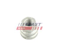 Dado ruota Assale posteriore per FORD TRANSIT