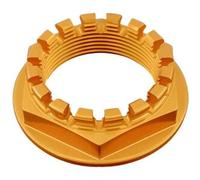 Dado Speciale 33 X 1,50 Ergal Oro D009ORO Lightech