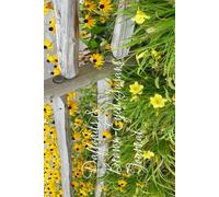 DAFFODILS & BROWN-EYED SUSANS JOURNAL