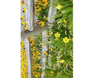 DAFFODILS & BROWN-EYED SUSANS JOURNAL