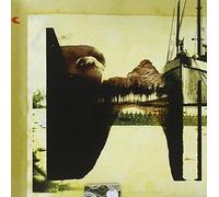 D'Agaro, Daniele Adriatics Orchestra - Comeglians