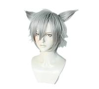 Dagua Parrucca Cosplay Anime FF14 Final Fantasy XIV Miqo'te Parrucca,Men's + Ear Silver Gray Short Parrucca Cosplay,con Rete per Parrucca Gratuita,per Festa Carnevale Halloween Cosplay Parrucca