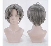Dagua Parrucca Cosplay Anime Sarazanmai Mabu Akutsu Parrucca,Grey Short Parrucca Cosplay,con Rete per Parrucca Gratuita,per Festa Carnevale Halloween Cosplay Parrucca