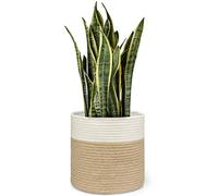 Dahey Cesto per piante in corda di cotone impiombato in iuta moderno intrecciato per vasi da interni da 25,4 cm, decorativo per vasi da fiori con manico, decorazione rustica per la casa, bianco e