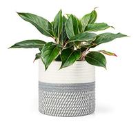 Dahey Cesto portapiante in corda di cotone per vasi fino a 7 cm decorazione decorativa per vasi da fiori da 19 x 20 cm per armadio bidone da scrivania organizer per la casa moderna Grigio e bianco.