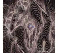 DAHGA BLOOM No Curtains (Vinyl LP)