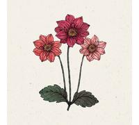 Dahlia - Bishops's Children - 1 conf.