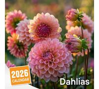 Dahlias Calendar 2026: Vibrant and Bold Floral Designs to Energize Your Days