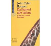 Dai batteri alle balene. Il piccolo e il grande in biologia. Ediz. illustrata