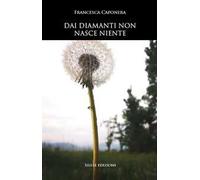 Dai diamanti non nasce niente