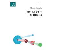 Dai nuclei ai quark