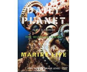 Daily Planet - Marine Life