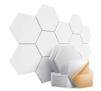 Dailycooper Confezione da 12 pannelli acustici autoadesivi, 30,5 x 25,4 x 1 cm, pannelli fonoassorbenti in schiuma ad alta densità, elegante design esagonale, resistenti alle fiamme, assorbono il