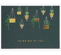 Dailylike Pianta da appendere con messaggio cartolina 13 x 9,5 cm.