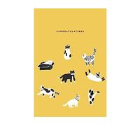 Dailylike Scheda illustrazione congratulation 10 x 15 cm.
