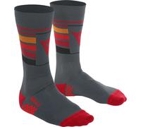 Dainese High Gravity Hallerbos Calzini per biciclette, grigio, taglia S