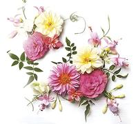 Daisy - Tovaglioli di carta velina a 3 veli, motivo floreale primaverile, per decoupage e pranzo, 33 x 33 cm, confezione da 20 (composizione di fiori delicati)