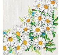 Daisy - Tovaglioli di carta velina a 3 veli, motivo floreale primaverile, per decoupage e pranzo, 33 x 33 cm, confezione da 20 (cornice di margherite)
