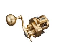 Daiwa 21 Basara IC 250P Mano Destra Acqua Salata Bobina Nuovo IN Scatola Oro