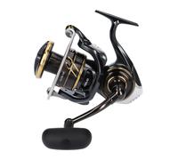 DAIWA 23 Caldia SW 6000 D-H Salzwasser Mulinello