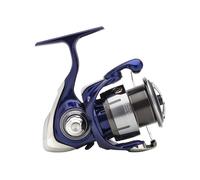 DAIWA 24 TDR QD, Mulinello Da Pesca Con Match E Feeder, Freno Anteriore