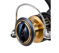 DAIWA 25 Saltiga, Bobina di ricambio
